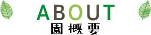 園概要